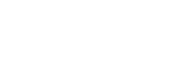 Asus Notebook X509