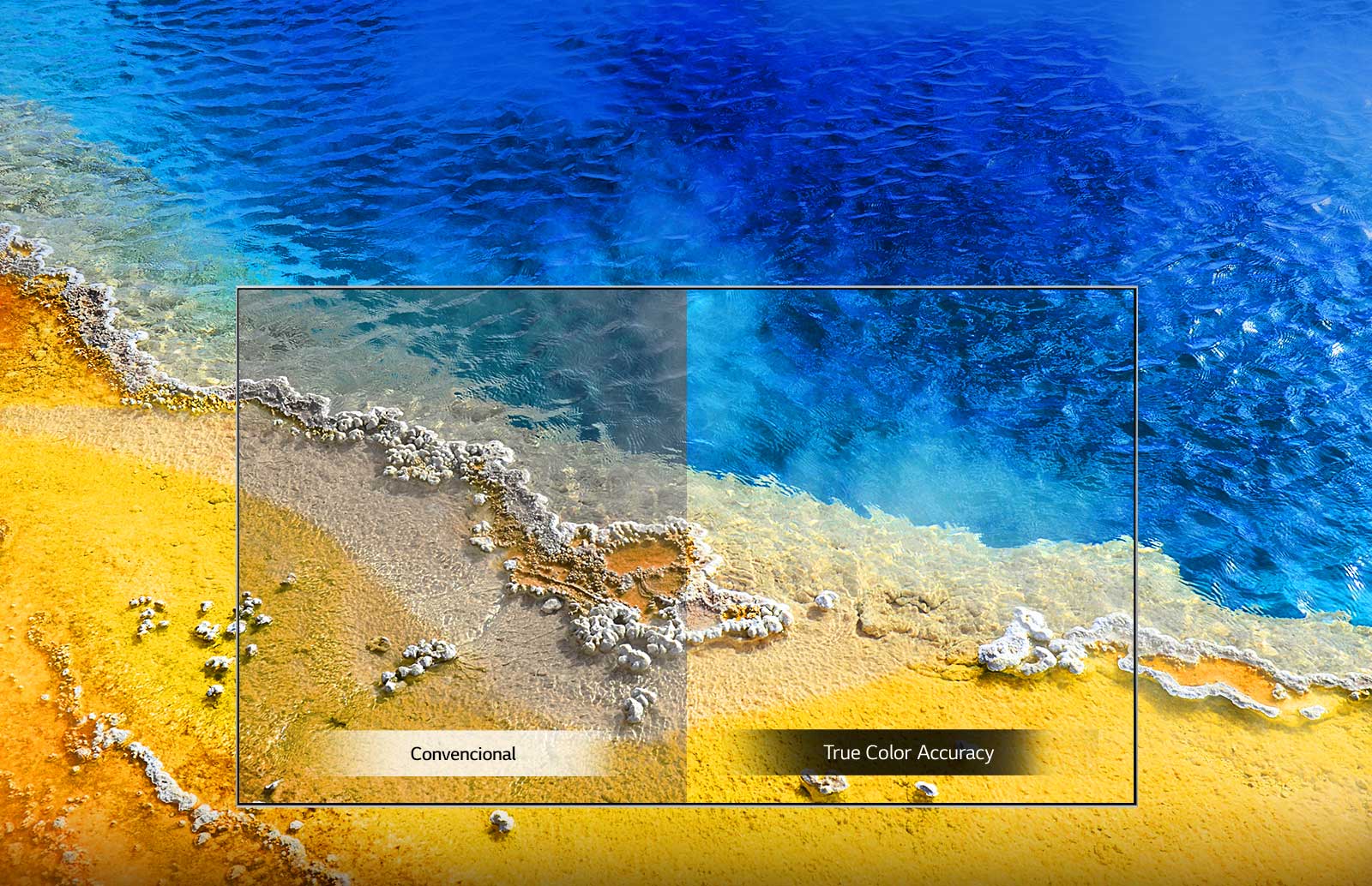 True Color Accuracy True Color Accuracy