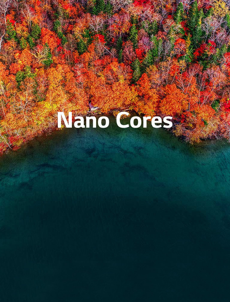 Cores avançadas com tecnologia NanoCell Cores avançadas com tecnologia NanoCell