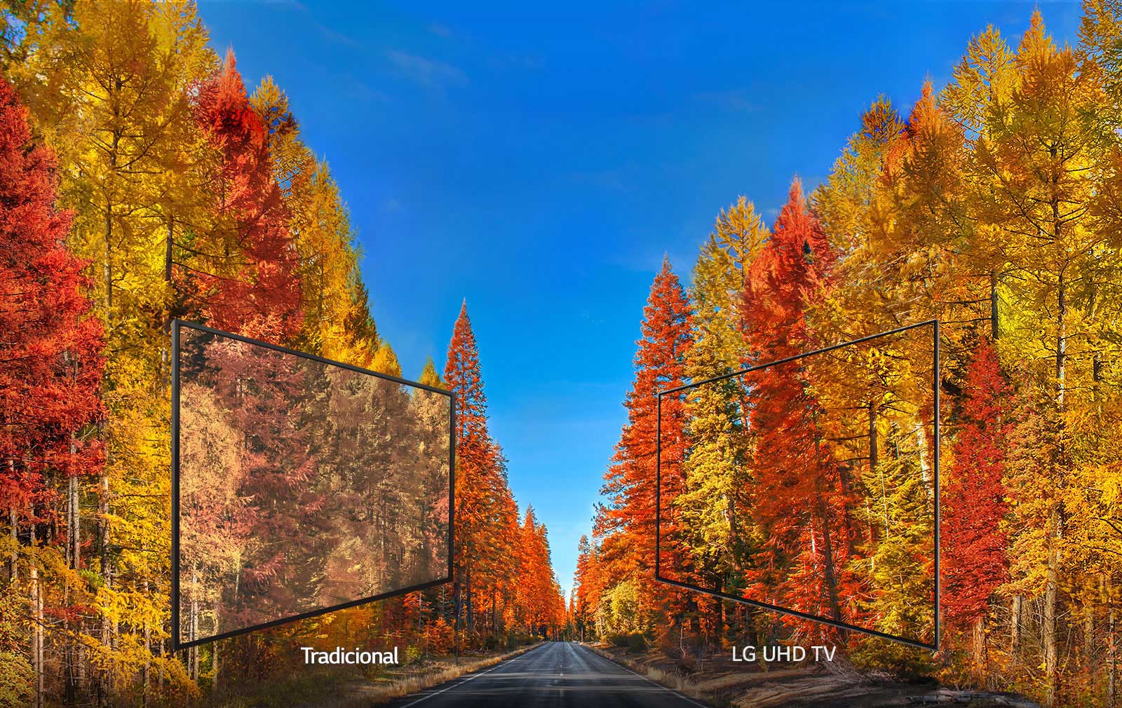Painel IPS 4K: Imagens ideais de qualquer ângulo